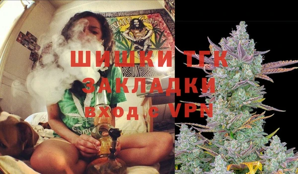 PSILOCYBIN Зерноград