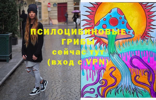 PSILOCYBIN Зерноград