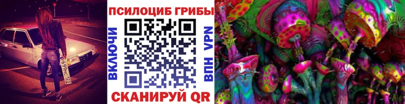 Купить Нариманов Галлюциногенные грибы Psilocybe