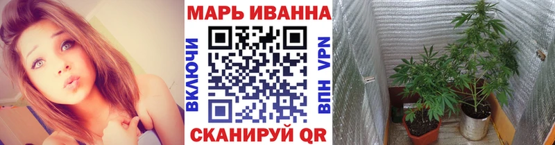 Купить  Нариманов  Каннабис планчик 